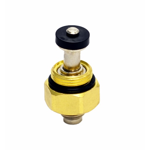 [SS.1701.P] SS.1701.P